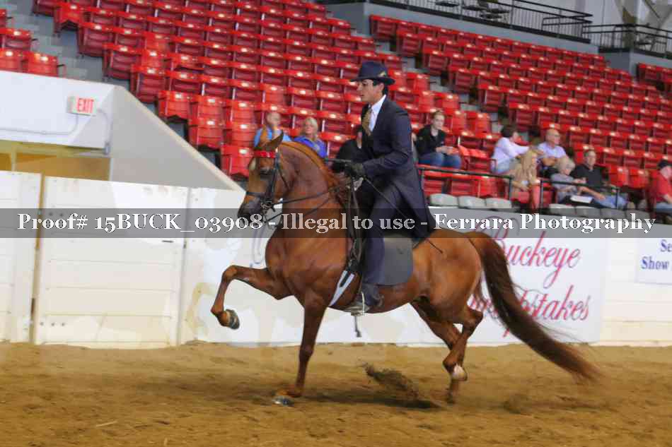 Proof 15BUCK_03908