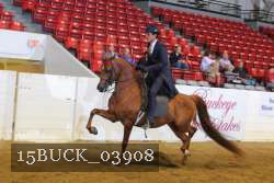 15BUCK_03908 proof