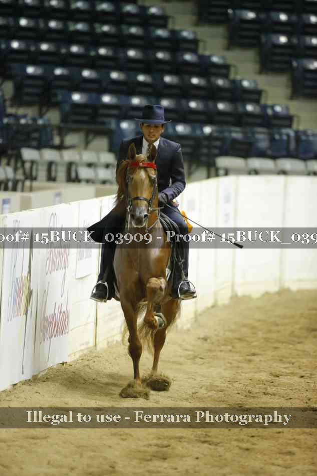 Proof 15BUCK_03909