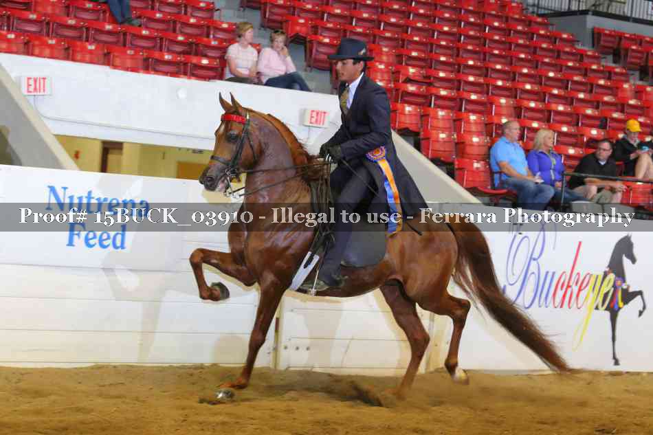 Proof 15BUCK_03910