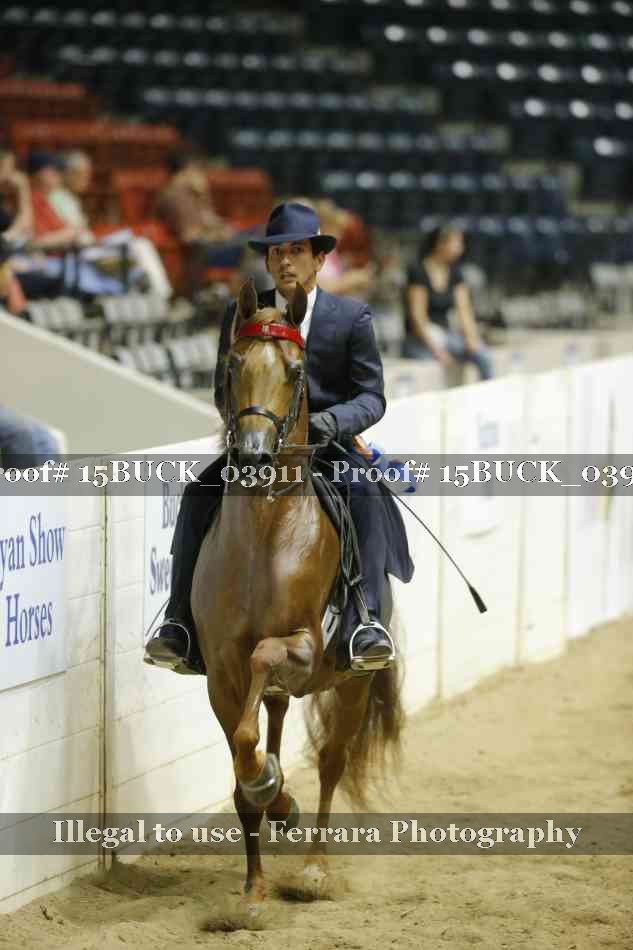 Proof 15BUCK_03911