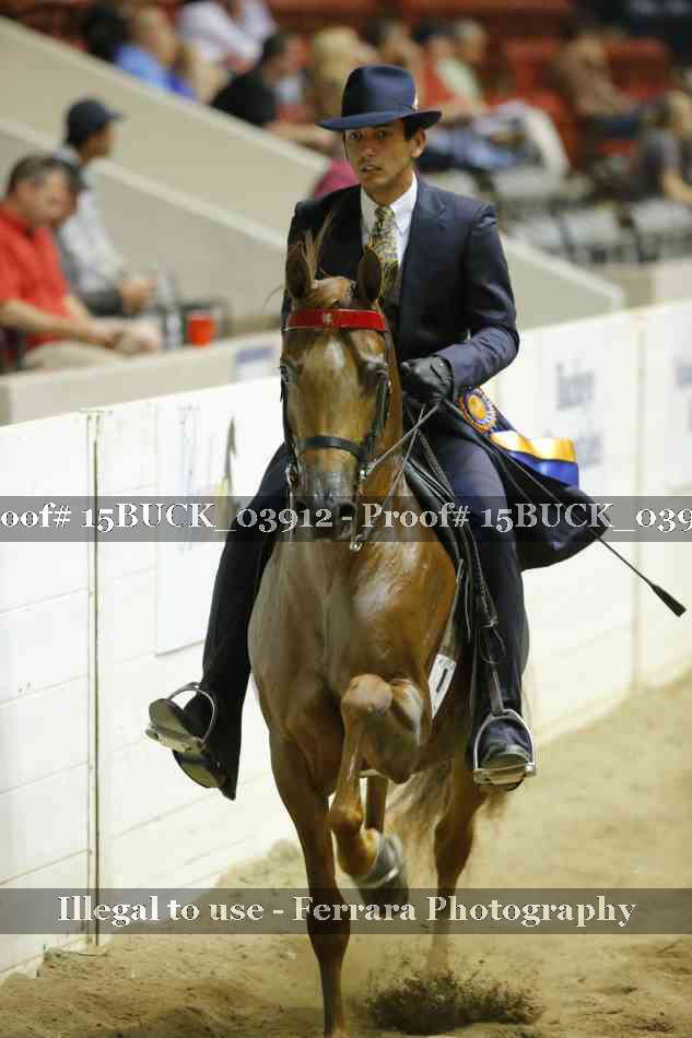 Proof 15BUCK_03912