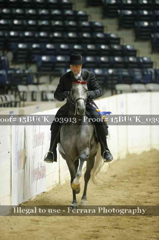 Proof 15BUCK_03913