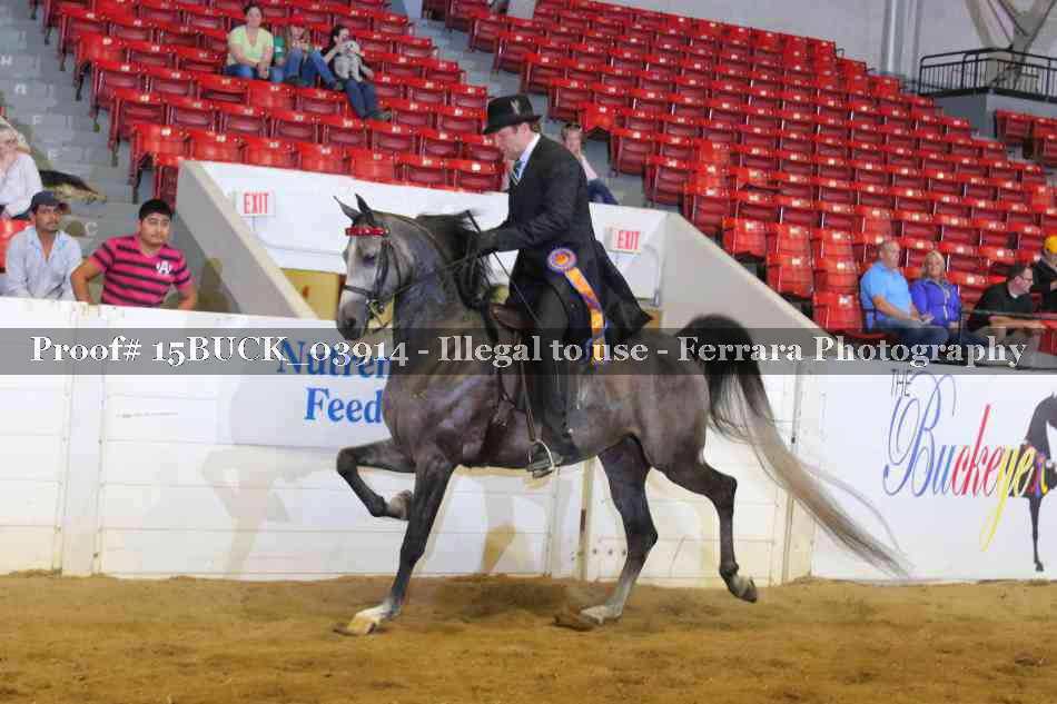 Proof 15BUCK_03914