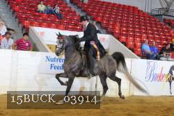 15BUCK_03914 proof
