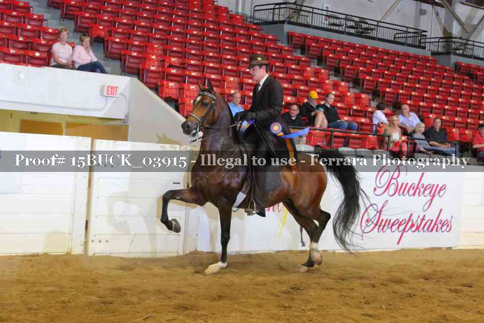 Proof 15BUCK_03915