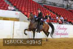 15BUCK_03915 proof