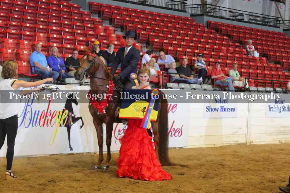 Proof 15BUCK_03917