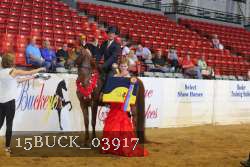 15BUCK_03917 proof