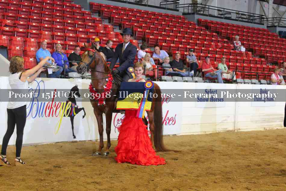 Proof 15BUCK_03918