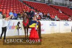 15BUCK_03918 proof