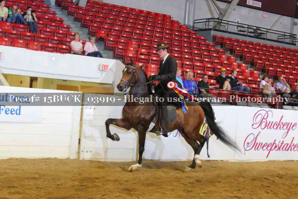 Proof 15BUCK_03919