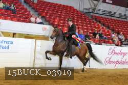 15BUCK_03919 proof