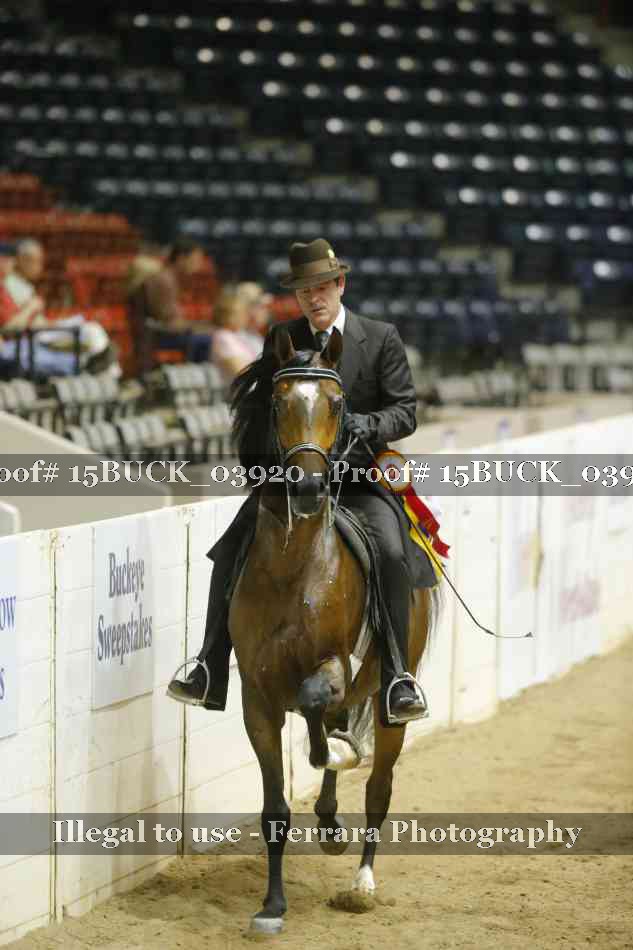 Proof 15BUCK_03920