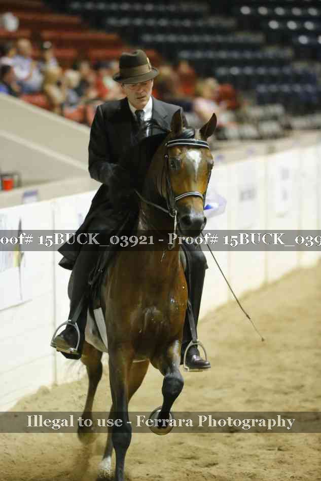 Proof 15BUCK_03921