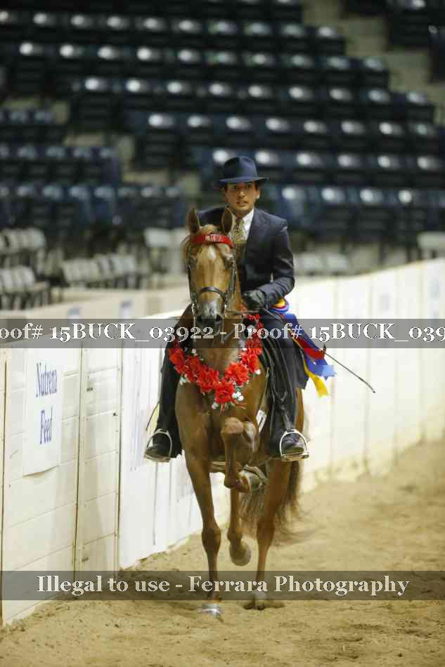 Proof 15BUCK_03922