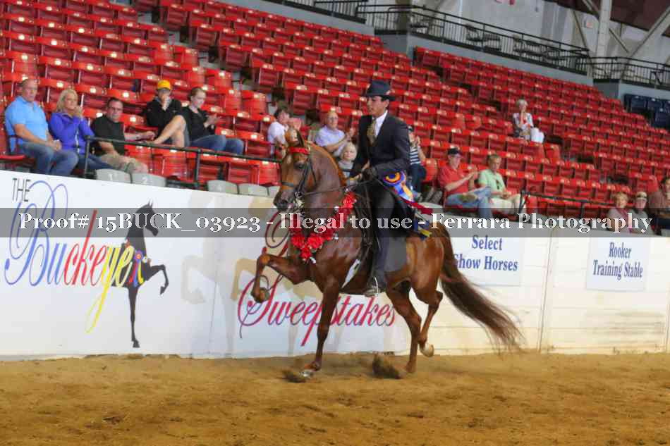Proof 15BUCK_03923