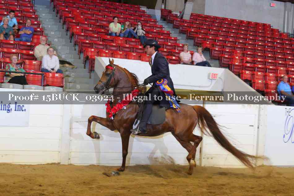 Proof 15BUCK_03924