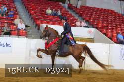 15BUCK_03924 proof