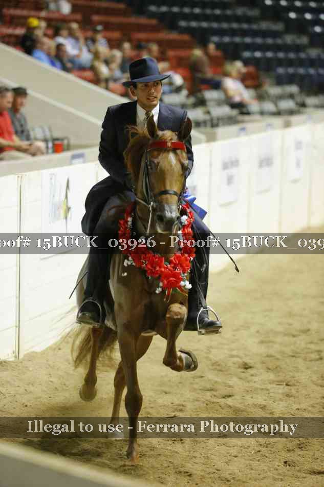Proof 15BUCK_03926
