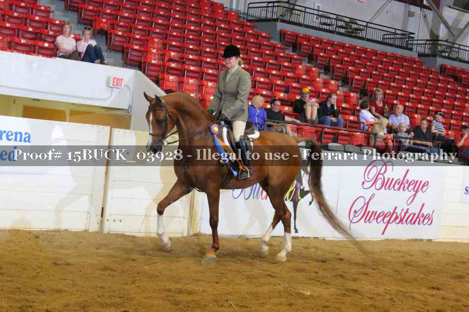 Proof 15BUCK_03928