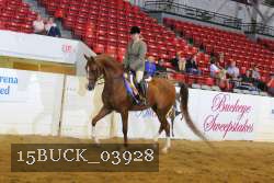 15BUCK_03928 proof