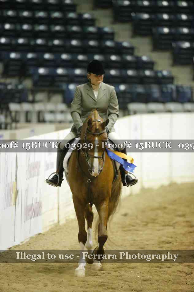 Proof 15BUCK_03929