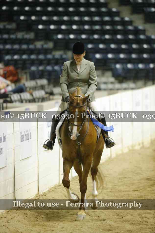 Proof 15BUCK_03930