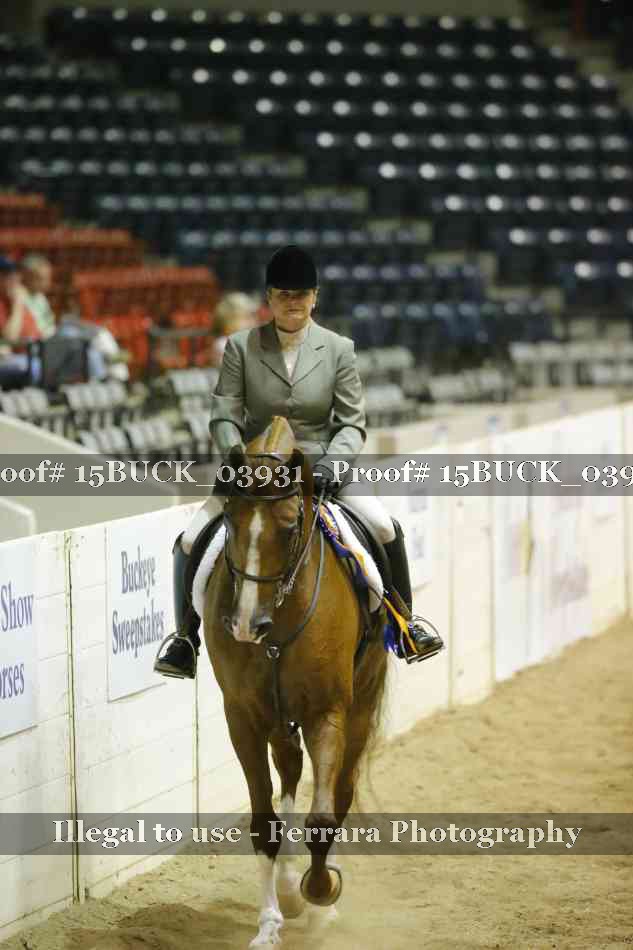 Proof 15BUCK_03931