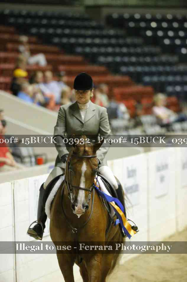 Proof 15BUCK_03932