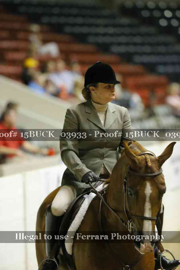Proof 15BUCK_03933