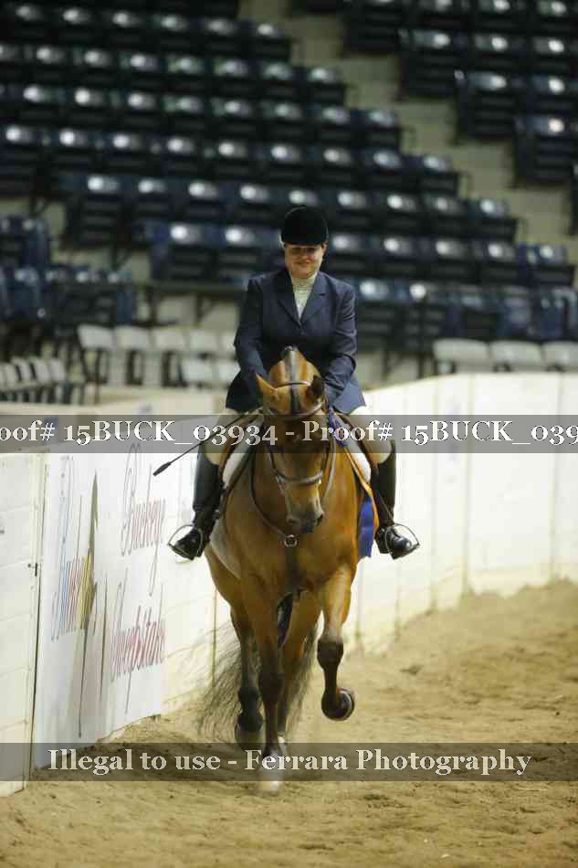 Proof 15BUCK_03934