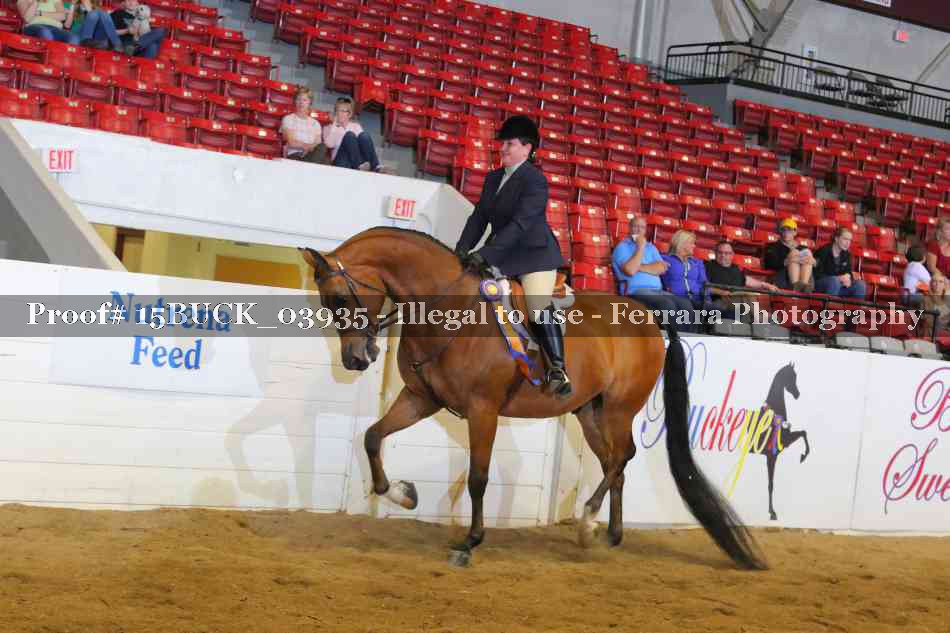 Proof 15BUCK_03935