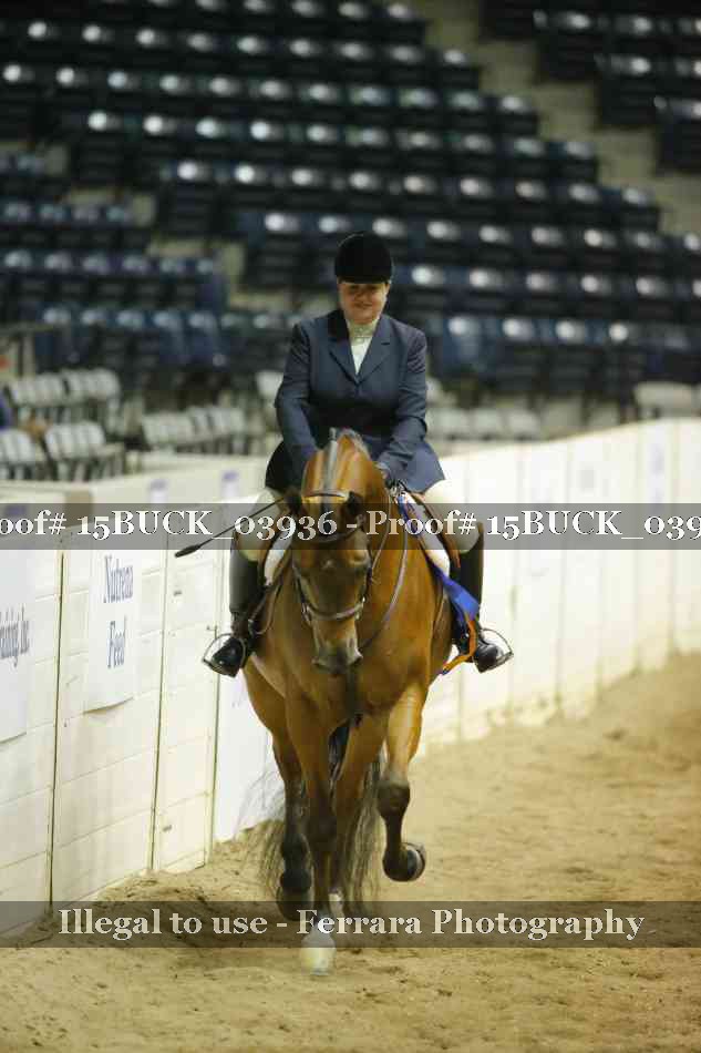 Proof 15BUCK_03936