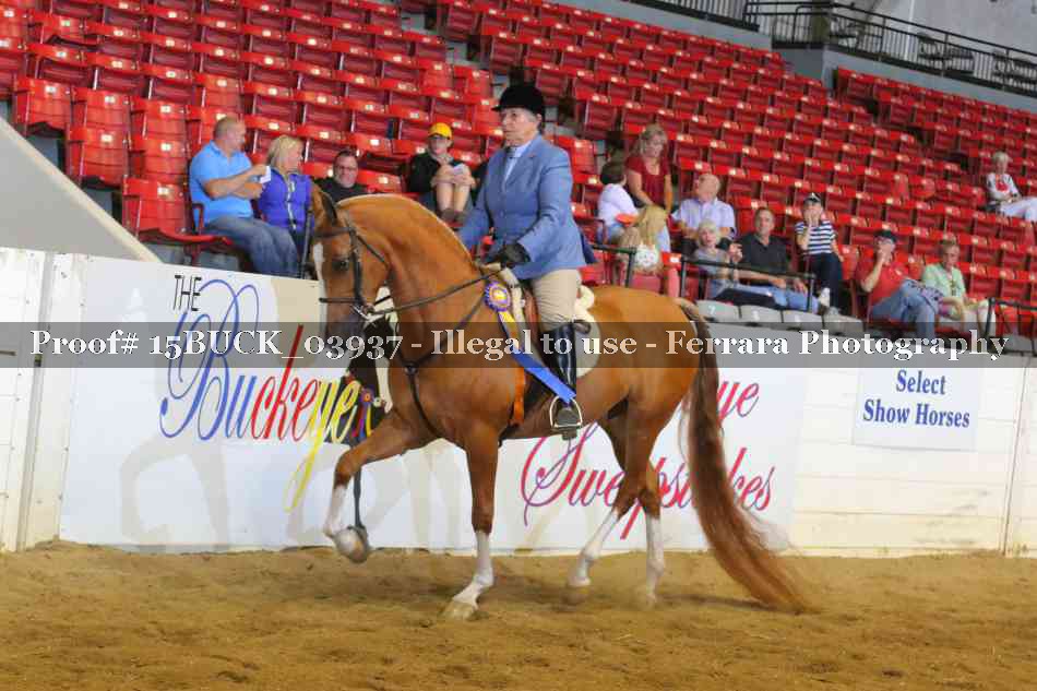Proof 15BUCK_03937