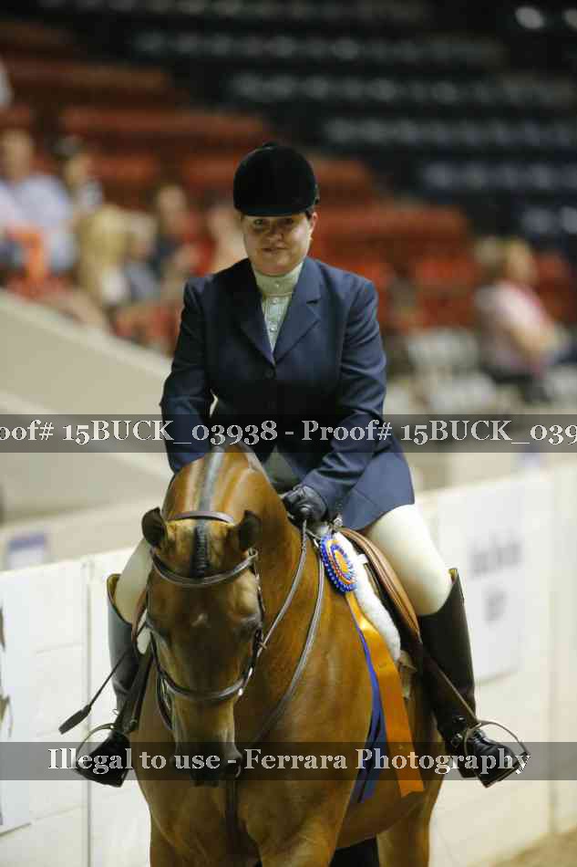 Proof 15BUCK_03938