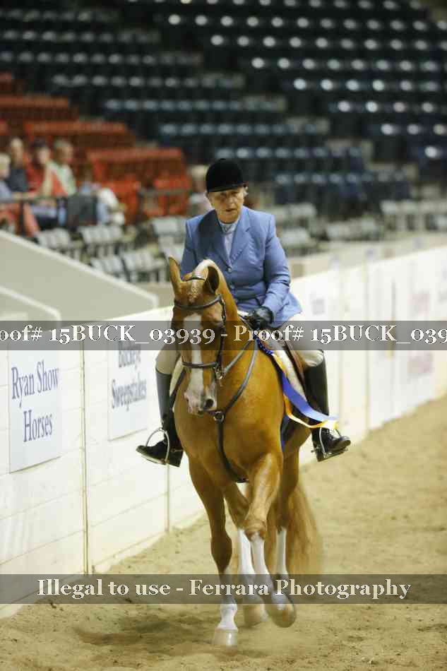 Proof 15BUCK_03939