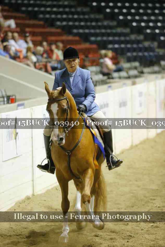 Proof 15BUCK_03940