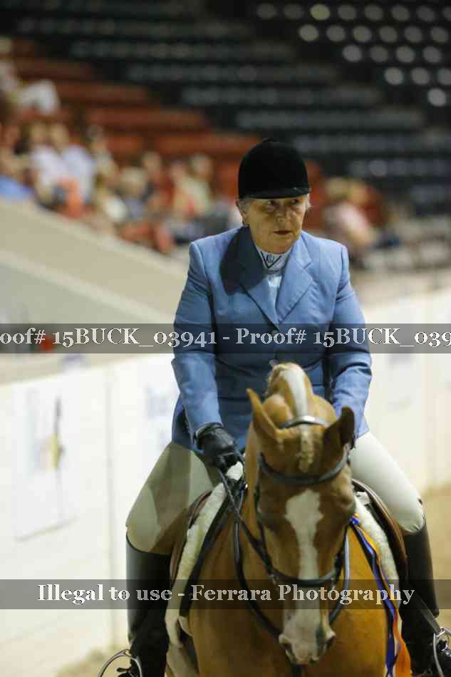 Proof 15BUCK_03941