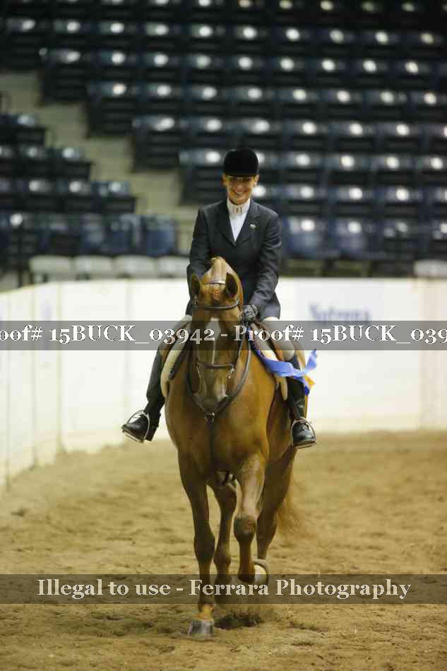 Proof 15BUCK_03942