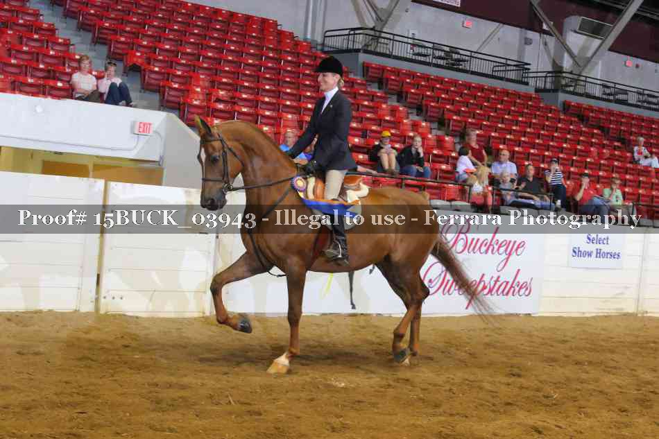 Proof 15BUCK_03943