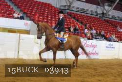 15BUCK_03943 proof