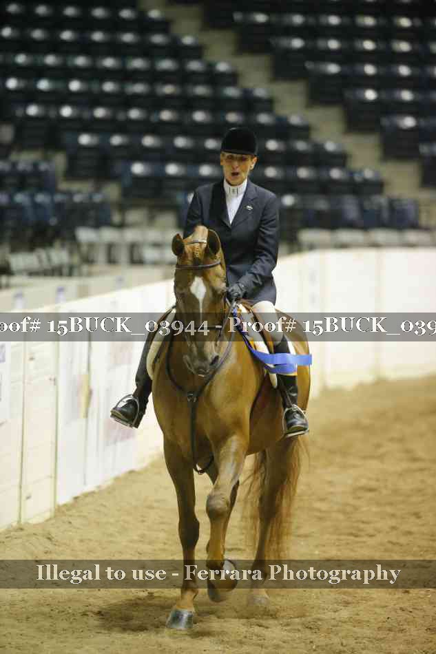 Proof 15BUCK_03944