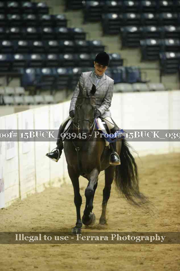 Proof 15BUCK_03945