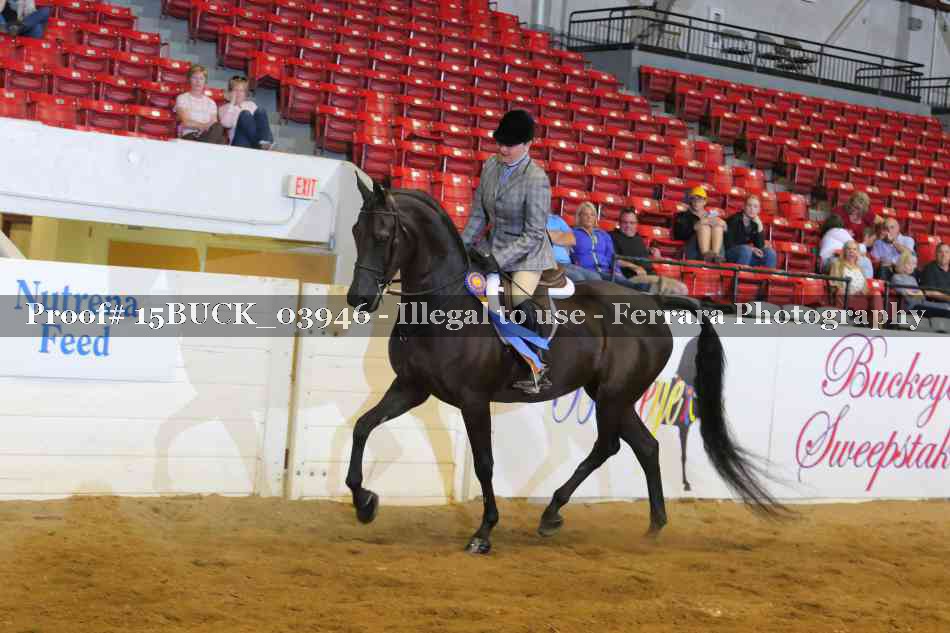 Proof 15BUCK_03946