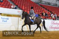 15BUCK_03946 proof