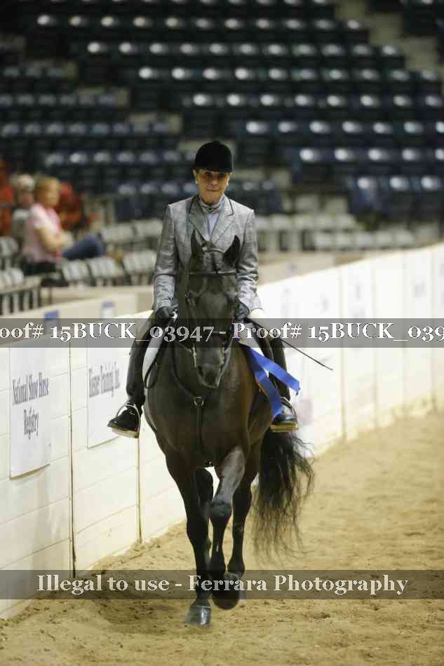 Proof 15BUCK_03947