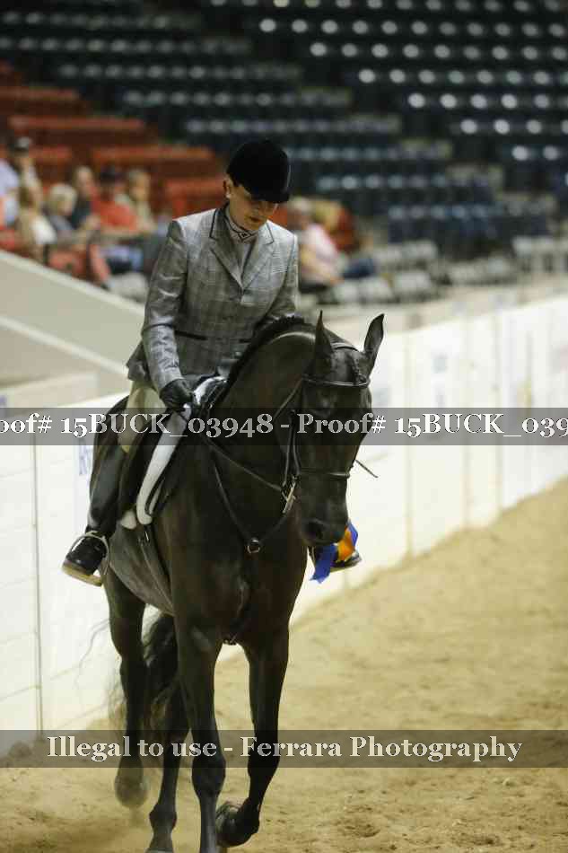 Proof 15BUCK_03948