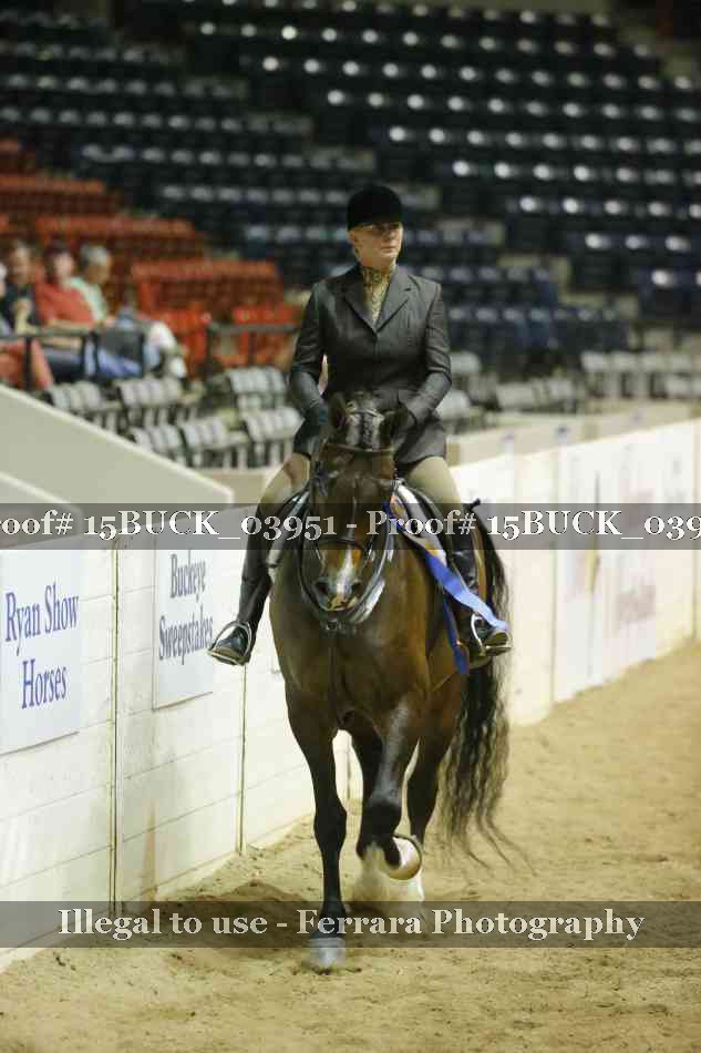 Proof 15BUCK_03951