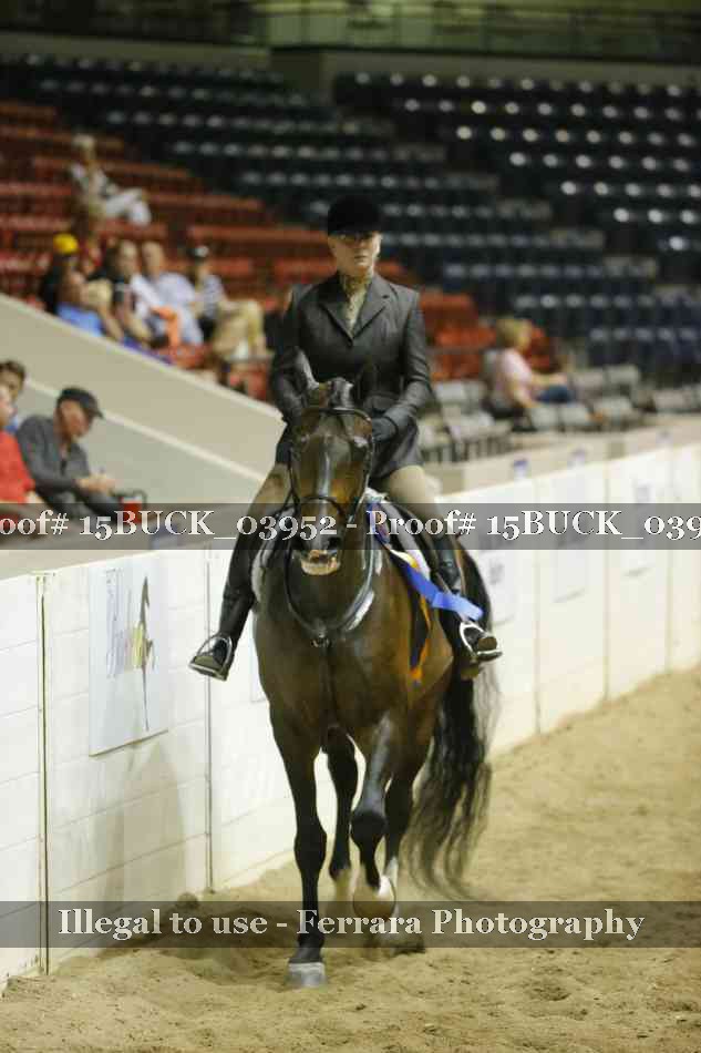 Proof 15BUCK_03952